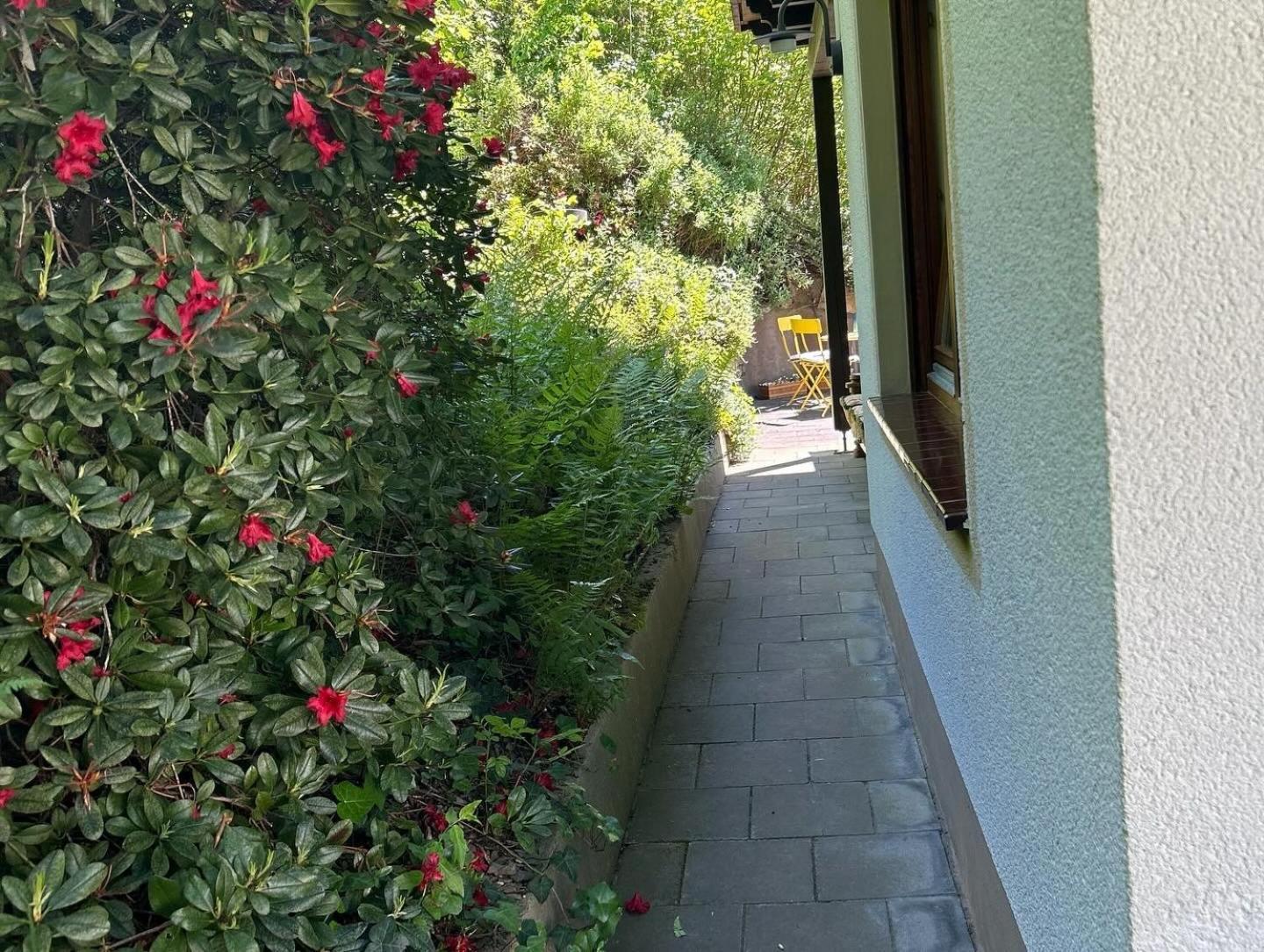 Ferienwohnung Sonneck Altenahr Dış mekan fotoğraf